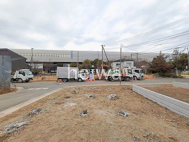 撮影日(2026-02-16 00:00:00)