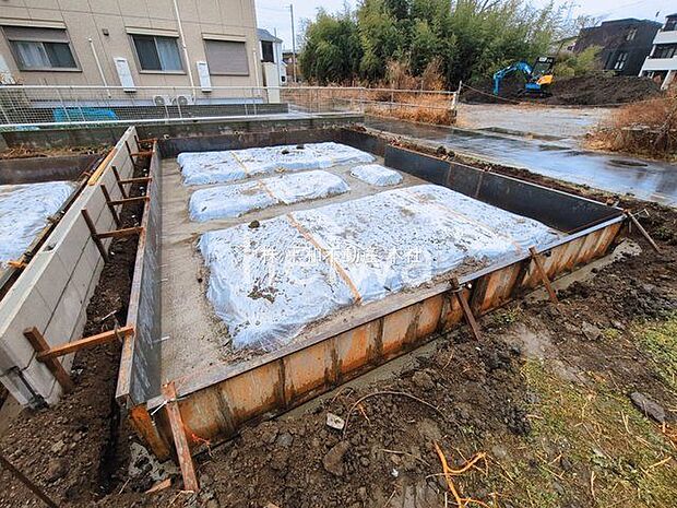 撮影日(2026-03-03 00:00:00)