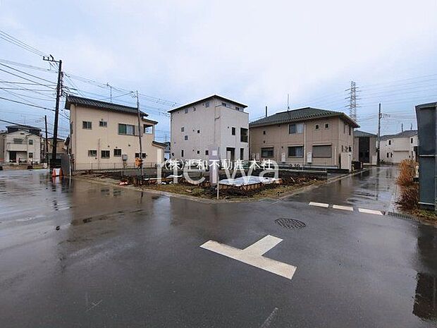 撮影日(2026-03-03 00:00:00)