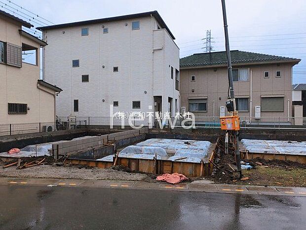 撮影日(2026-03-03 00:00:00)