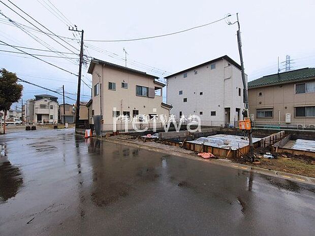 撮影日(2026-03-03 00:00:00)