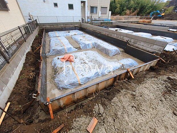 撮影日(2026-03-03 00:00:00)