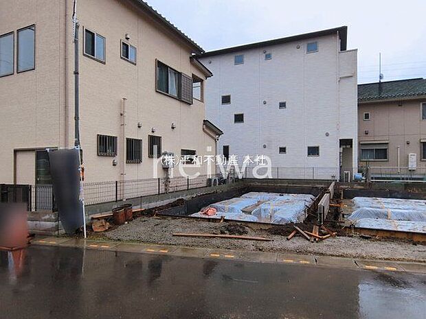 撮影日(2026-03-03 00:00:00)