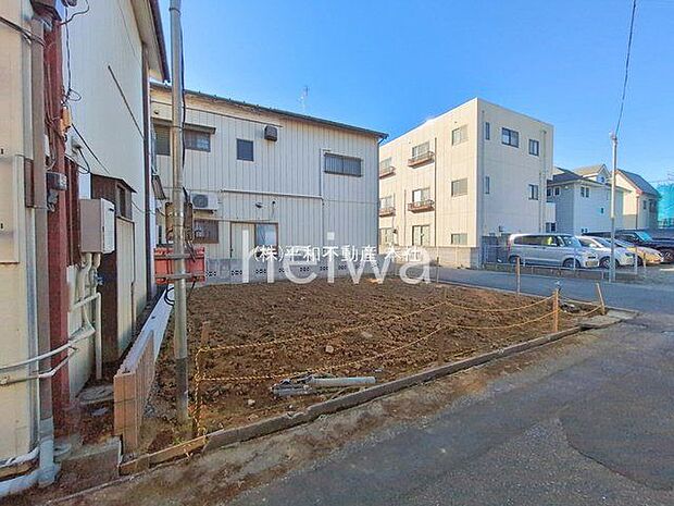 撮影日(2026-02-19 00:00:00)