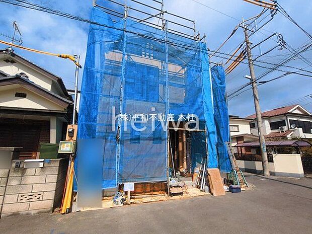 撮影日(2026-03-18 00:00:00)
