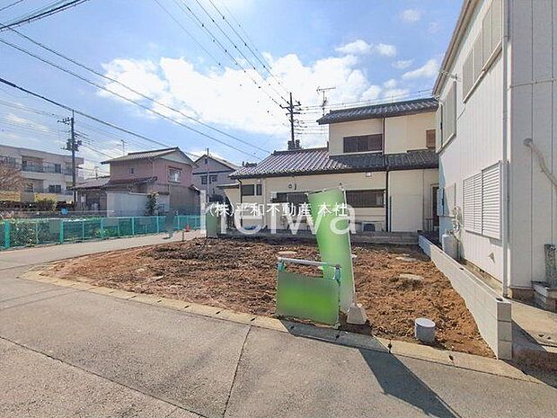 撮影日(2026-02-18 00:00:00)