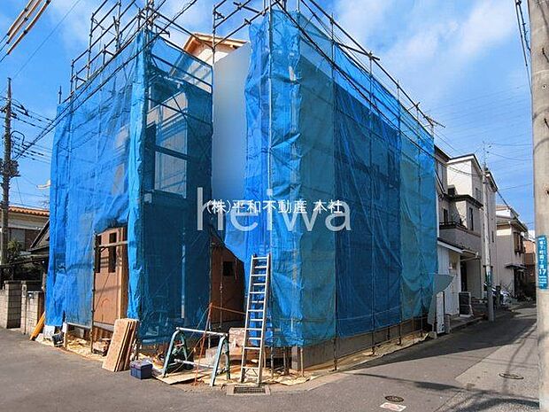 撮影日(2026-03-18 00:00:00)