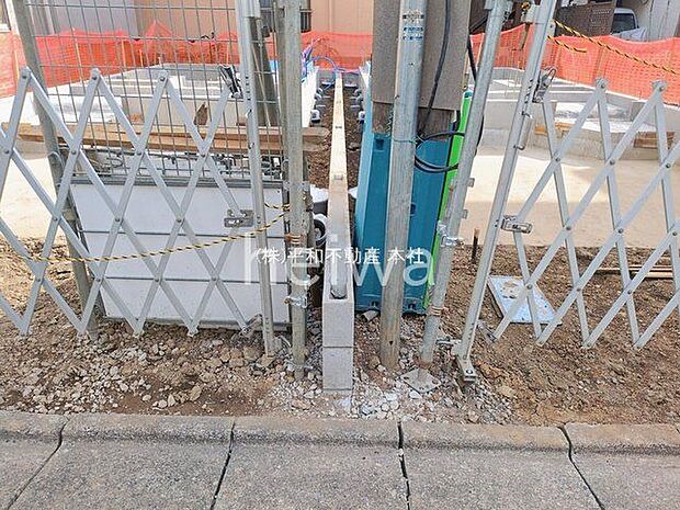 撮影日(2026-02-20 00:00:00)