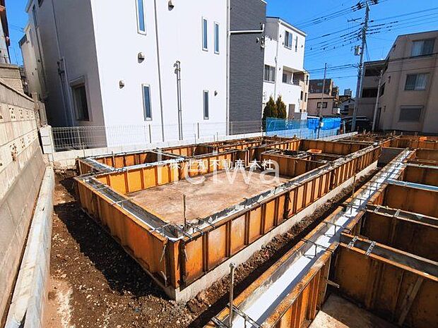 撮影日(2026-03-05 00:00:00)