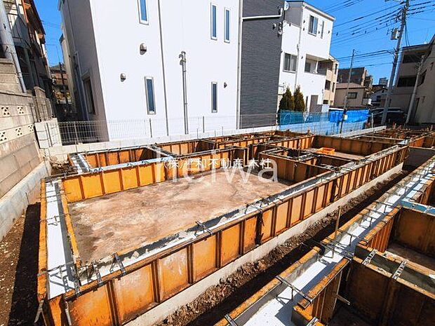 撮影日(2026-03-05 00:00:00)