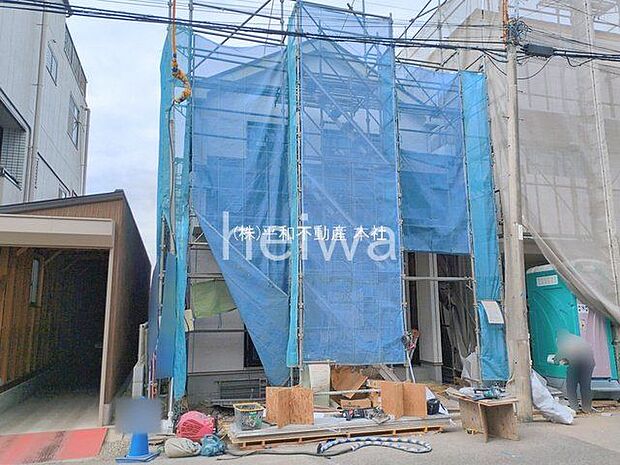 撮影日(2026-02-20 00:00:00)