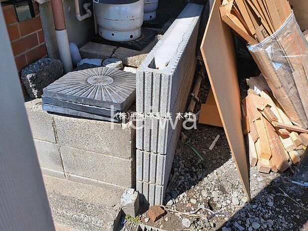 撮影日(2026-03-12 00:00:00)