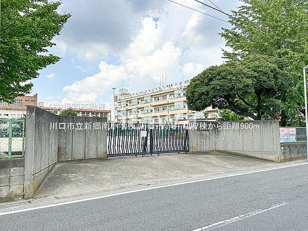 川口市立新郷南小学校 撮影日(2024-09-12) 900m
