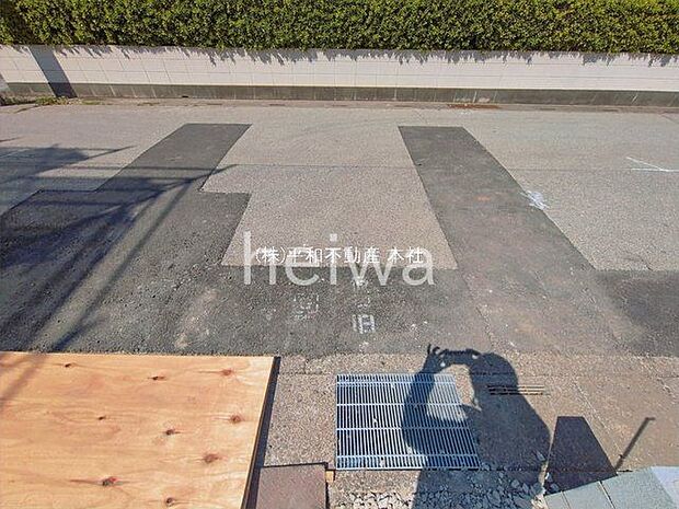 撮影日(2026-03-24 00:00:00)