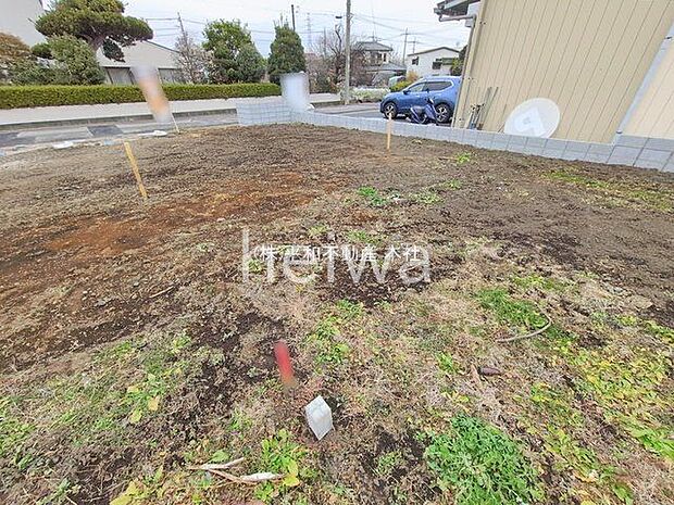 撮影日(2026-01-07 00:00:00)