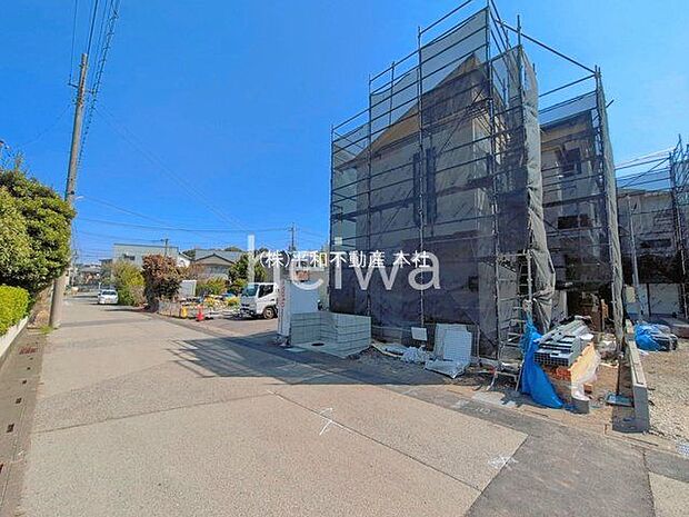 撮影日(2026-03-24)