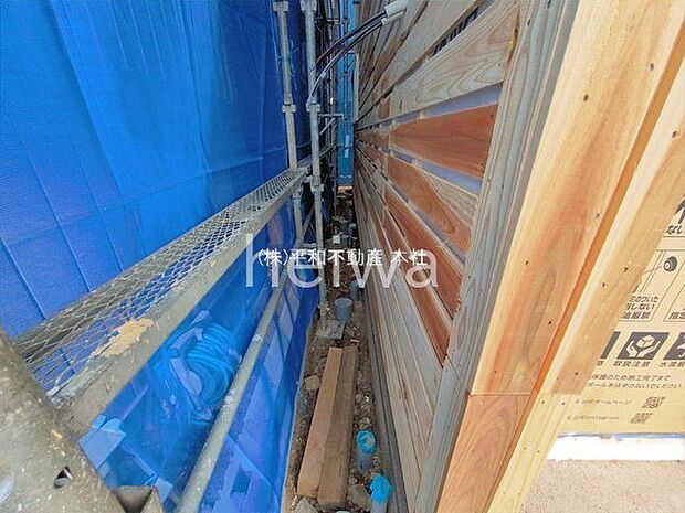 撮影日(2026-03-25 00:00:00)