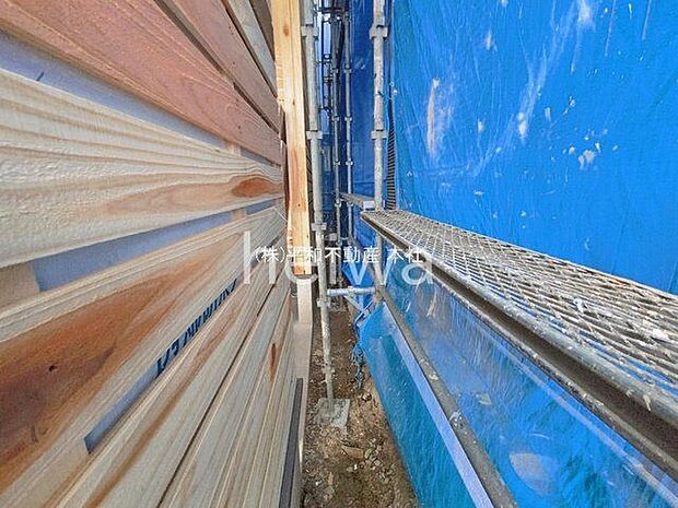 撮影日(2026-03-25 00:00:00)