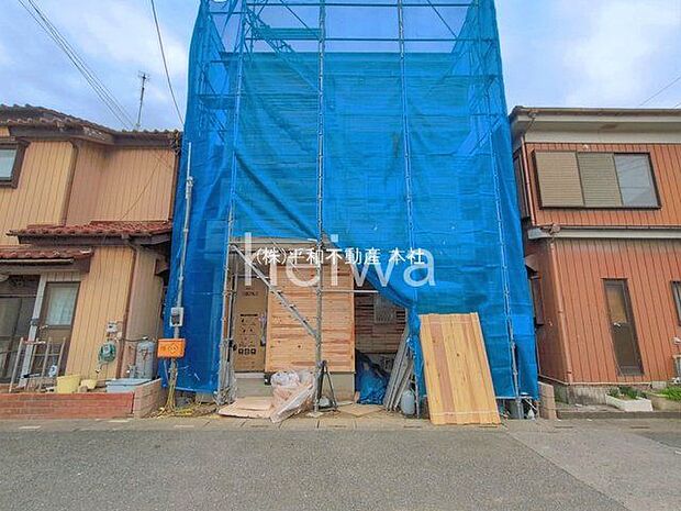 撮影日(2026-03-25 00:00:00)