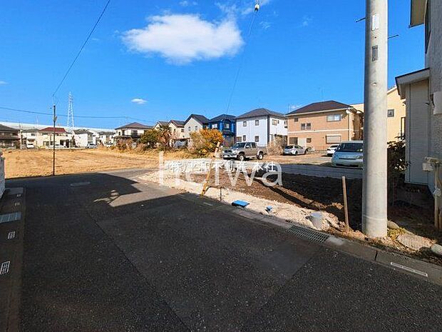 撮影日(2026-03-16 00:00:00)