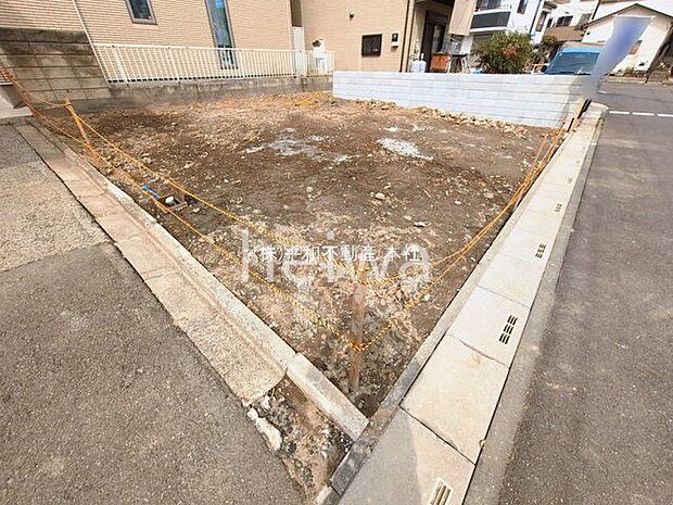 撮影日(2026-03-13 00:00:00)