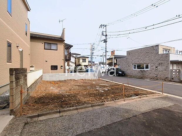 撮影日(2026-03-13 00:00:00)