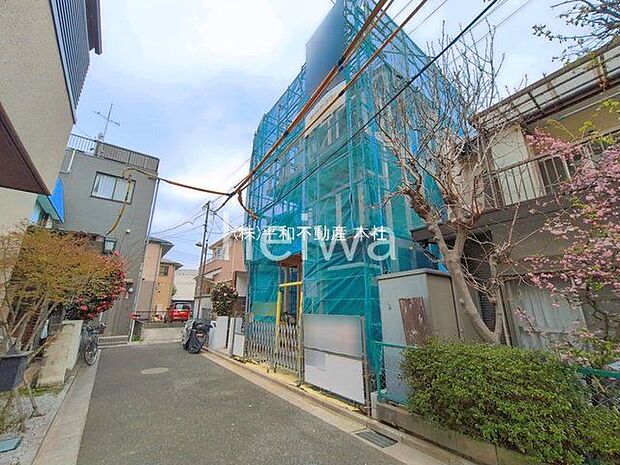 撮影日(2026-03-30 00:00:00)