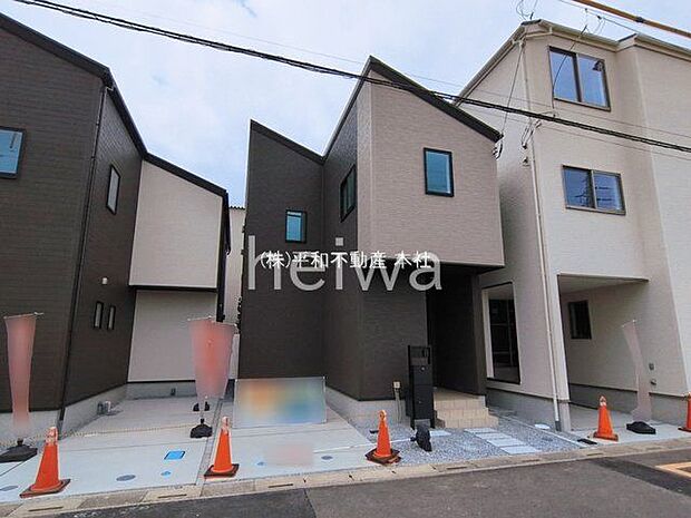 撮影日(2026-03-06 00:00:00)