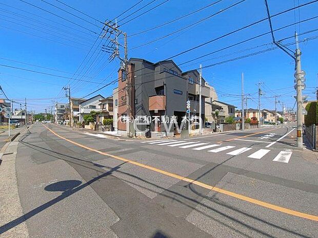 撮影日(2026-05-18 00:00:00)
