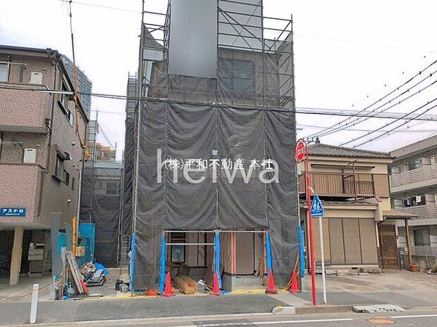 撮影日(2026-03-25 00:00:00)