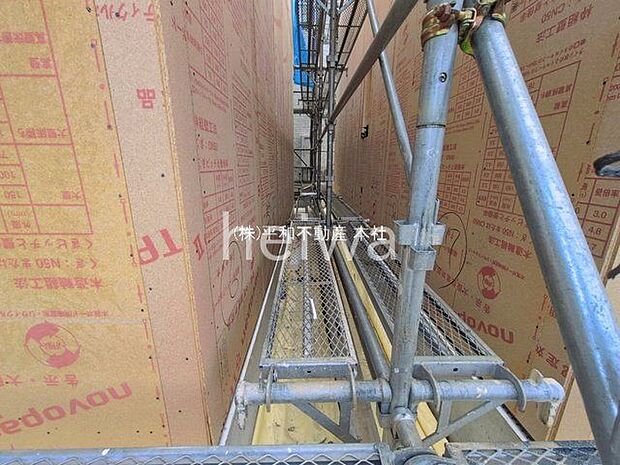 撮影日(2026-03-23 00:00:00)