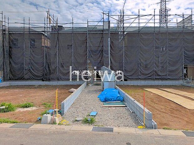 撮影日(2026-03-23 00:00:00)