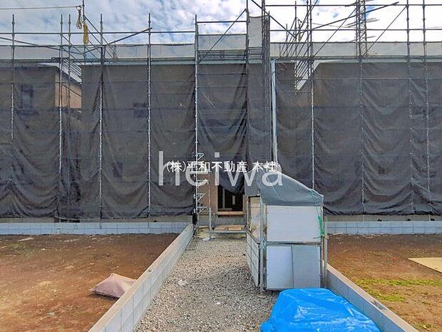 撮影日(2026-03-23 00:00:00)