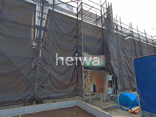 撮影日(2026-03-23 00:00:00)