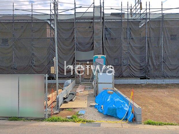 撮影日(2026-03-23 00:00:00)