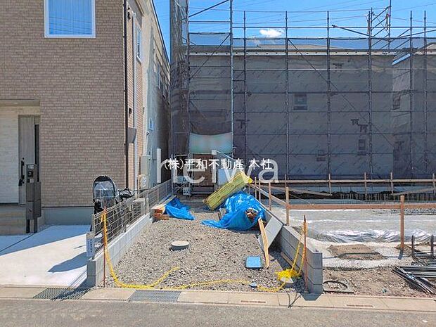 撮影日(2026-04-03 00:00:00)