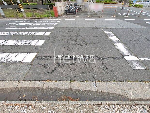 撮影日(2026-04-10 00:00:00)