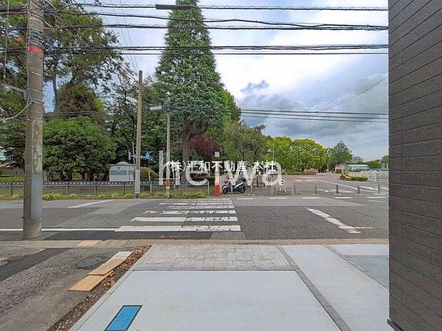 撮影日(2026-08-17 00:00:00)