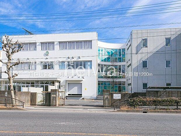 川口市立十二月田中学校 撮影日(2021-02-10) 1200m