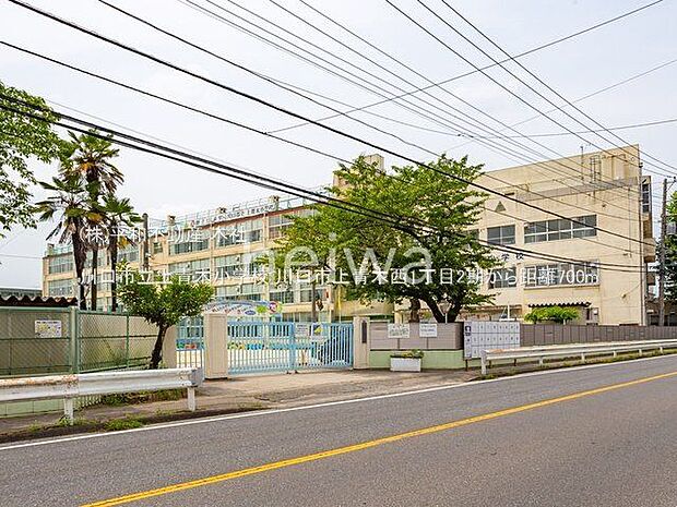 川口市立上青木小学校 撮影日(2022-06-20) 700m