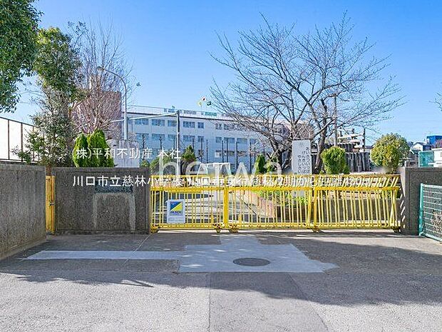 川口市立慈林小学校 撮影日(2021-02-19) 480m