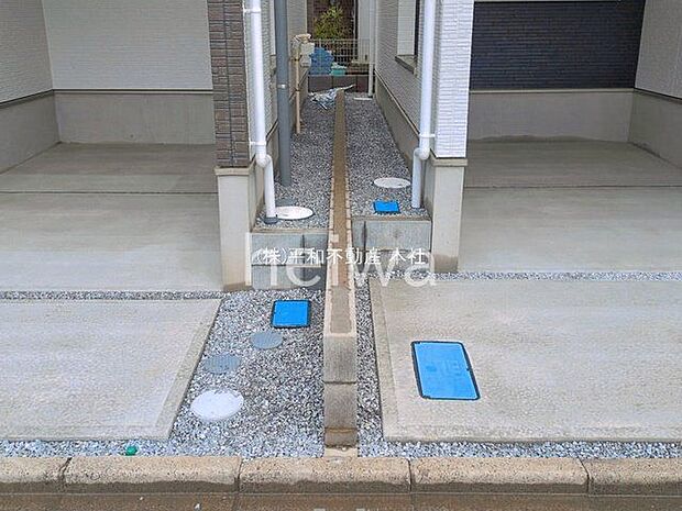撮影日(2026-06-08 00:00:00)