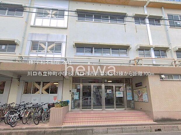 川口市立仲町小学校 撮影日(2025-06-01) 700m