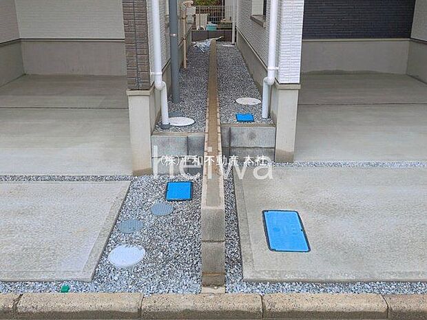 撮影日(2026-06-08 00:00:00)