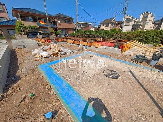 撮影日(2026-05-18 00:00:00)