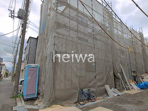撮影日(2026-06-15 00:00:00)