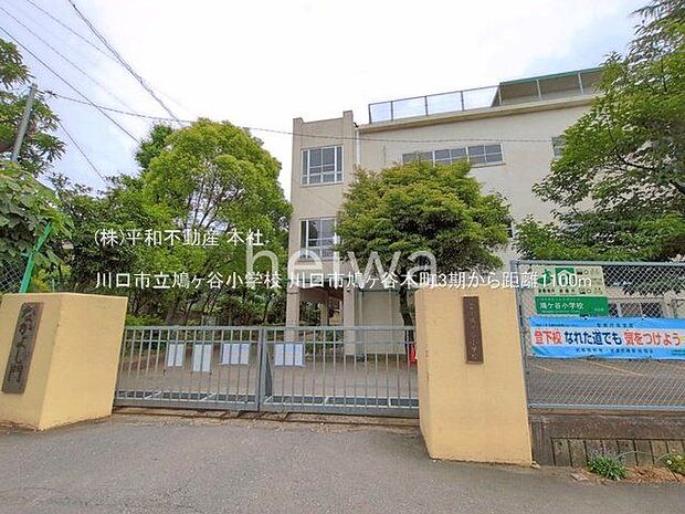 川口市立鳩ヶ谷小学校 撮影日(2025-05-29) 1100m