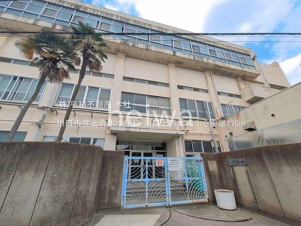 川口市立上青木小学校 撮影日(2025-06-01) 270m