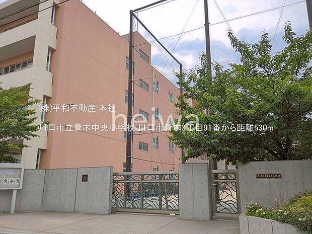 川口市立青木中央小学校 撮影日(2025-05-29) 530m