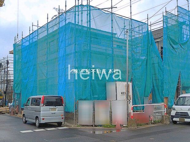 撮影日(2026-06-29 00:00:00)
